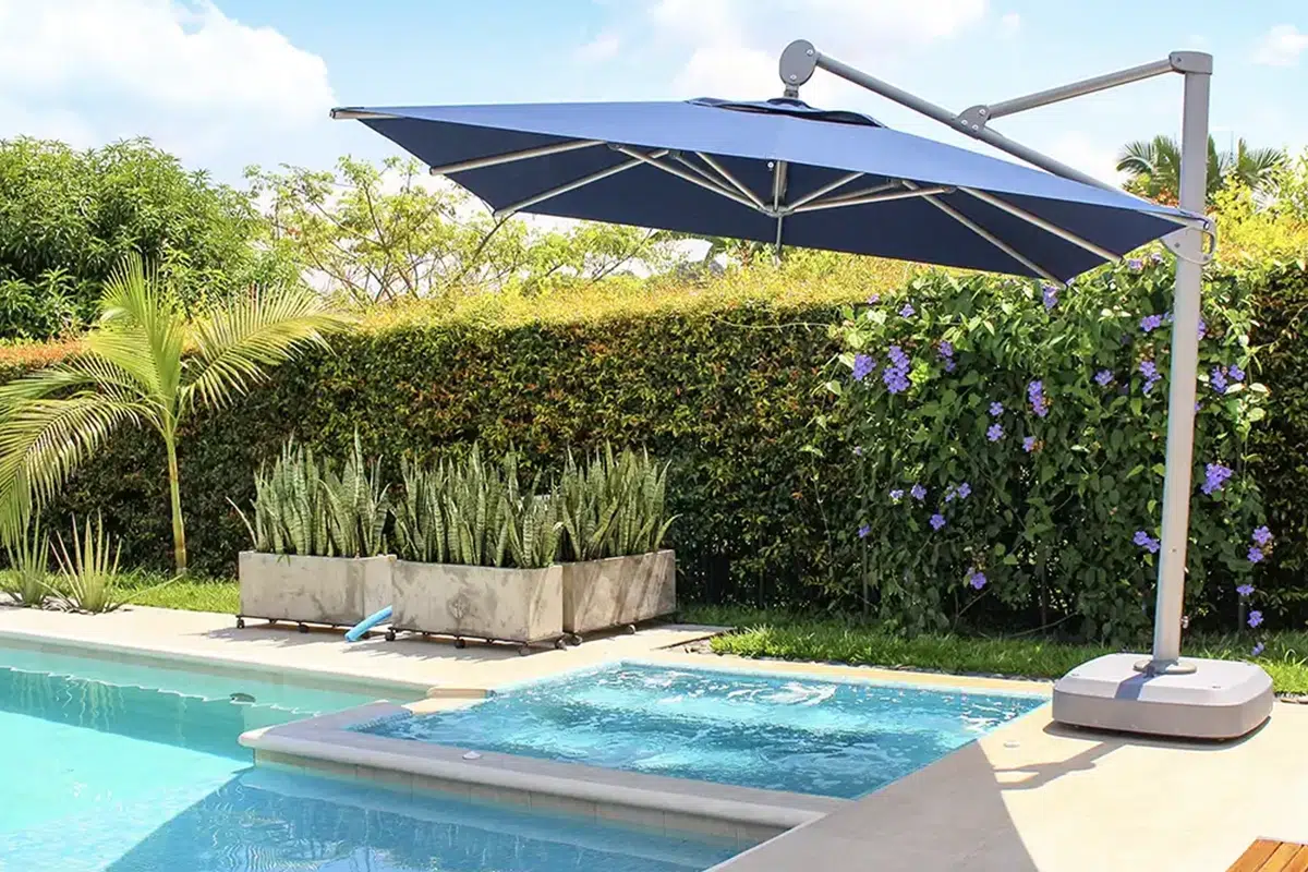 Sombrilla Palma azul junto a una piscina, con un seto florido de flores lilas al fondo